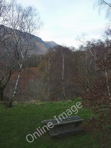 Photo 6x4 picnic table the - photo,